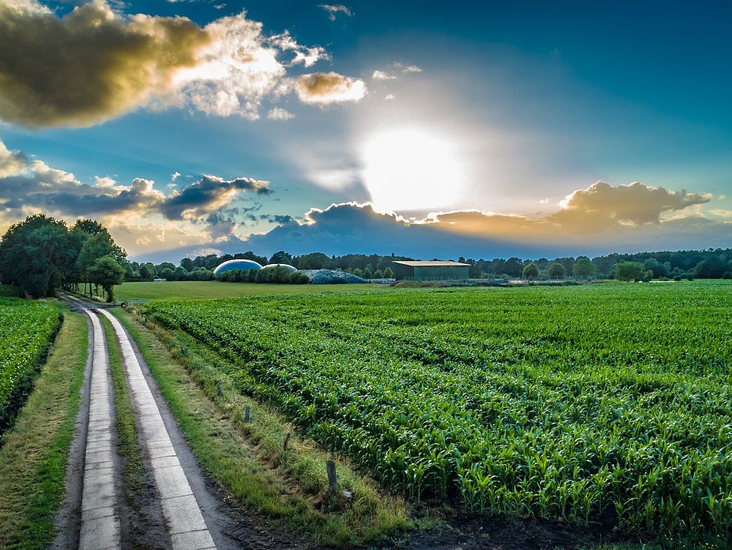 Grafika Fermentacja beztlenowa